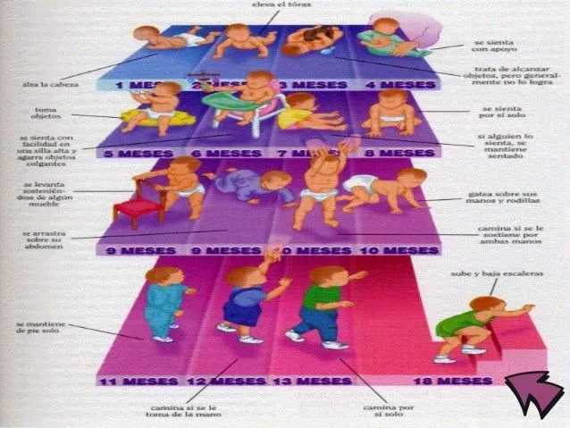 Desarrollo evolutivo de los niños y niñas 0-12 años