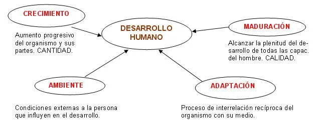 desarrollo humano 2