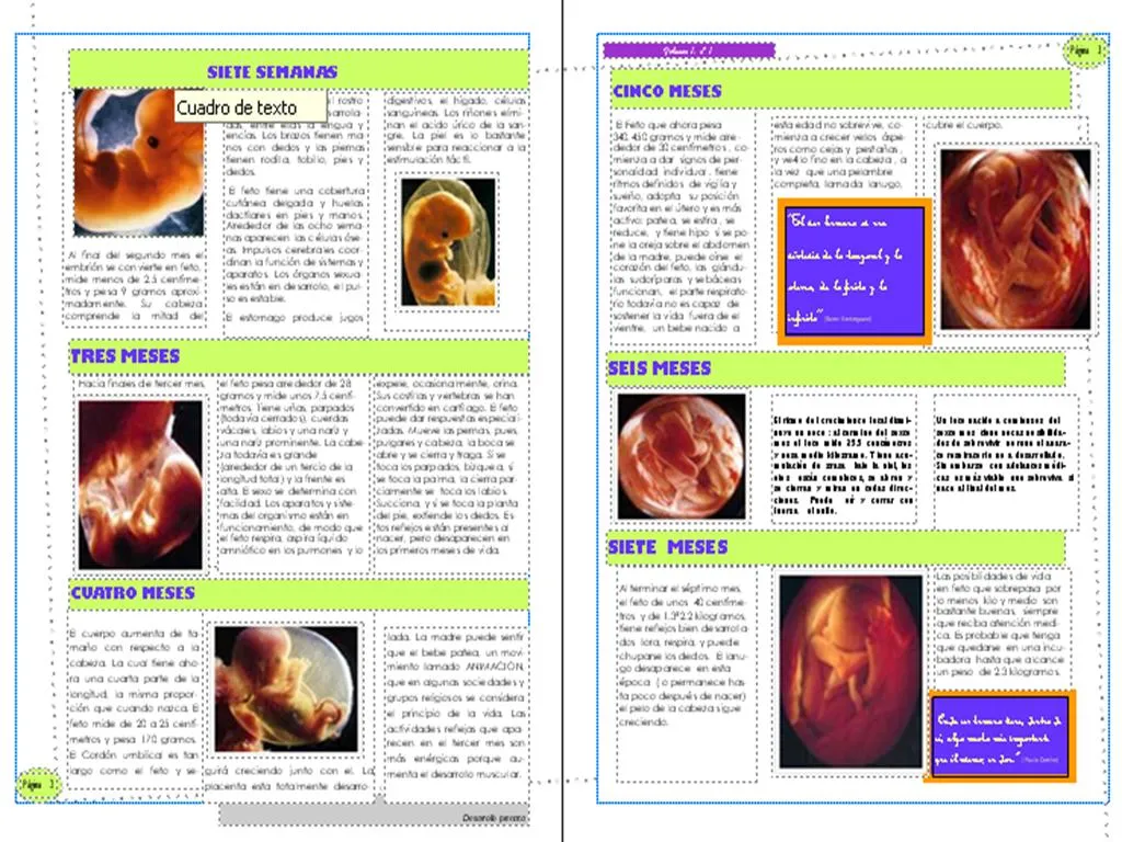 Desarrollo Humano I Carrera de Psicologia.: Desarrollo Prenatal Desarrollo Humano I Carrera de Psicologia.: Desarrollo Prenatal