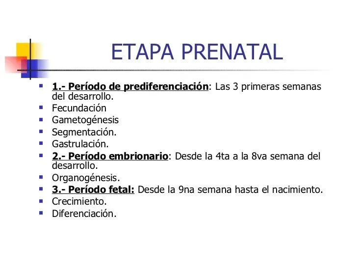Desarrollo Infantil
