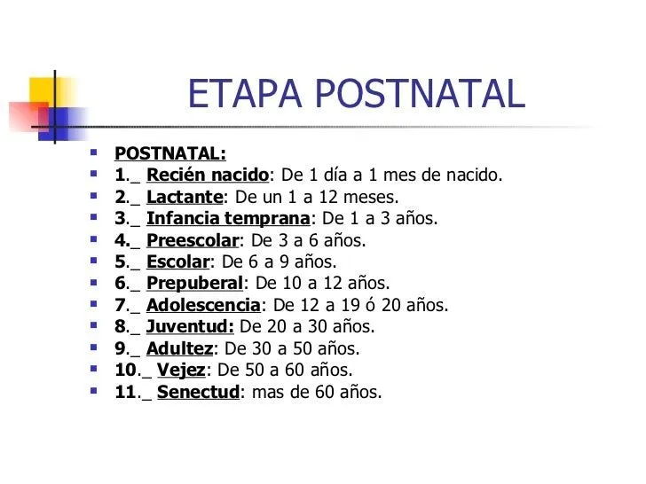 Desarrollo Infantil