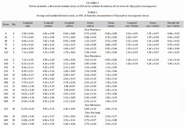 Desarrollo larval de Hypsophrys Nicaraguensis cultivados en ...