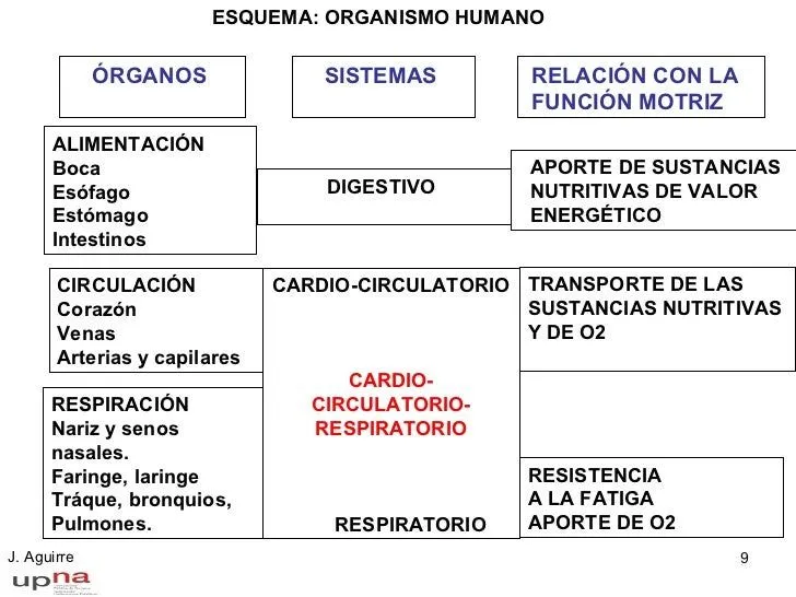desarrollo-psicomotor-9-728. ...