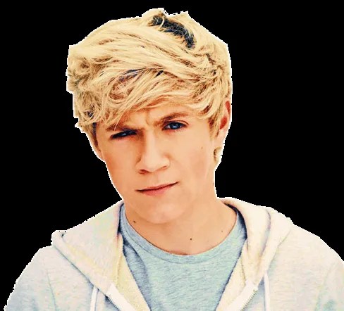 El desastre de María: PNG de Niall Horan (1D)