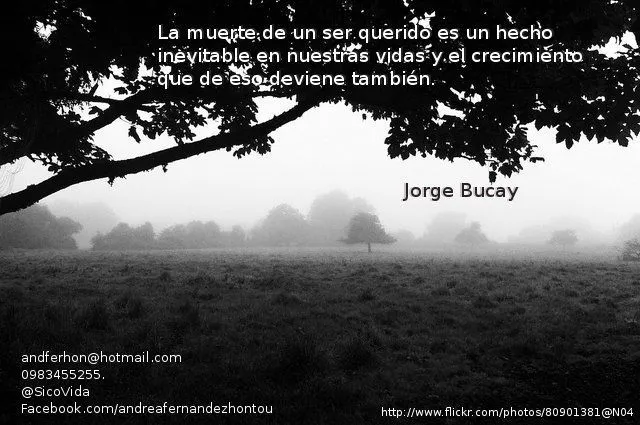 La muerte de un ser querido es un hecho inevitable en nuestras ... La muerte de un ser querido es un hecho inevitable en nuestras ...