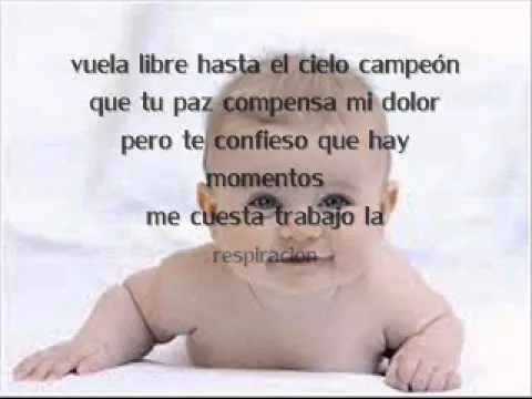 descansa mi amor -el komander letra - YouTube