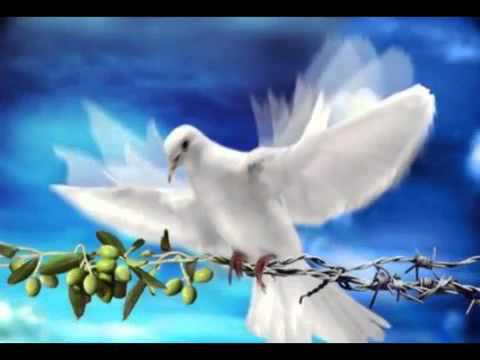 DESCANSA EN PAZ - YouTube