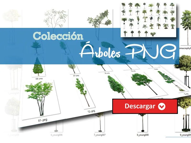 Descarga el arbol PNG que te guste - Arquitectura BIM Descarga el arbol PNG que te guste - Arquitectura BIM