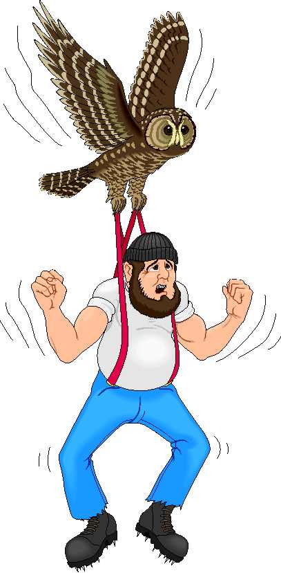 Descarga imágenes de aves, clipart cigueñas, buho pájaros - Foto ...