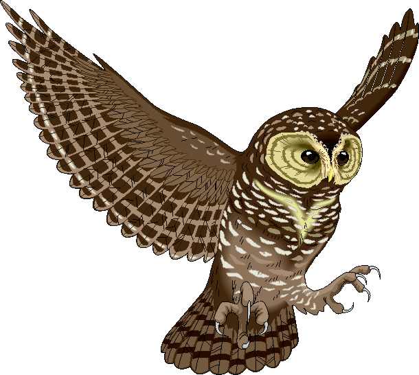 Descarga imágenes de aves, clipart cigueñas, buho pájaros - Foto ...
