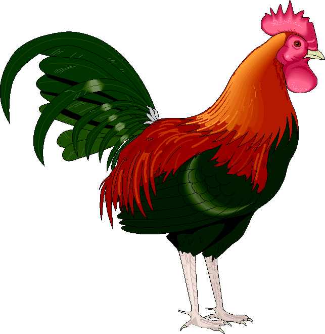 Descarga imágenes de gallos clipart de gallos - Foto Montajes de ... Descarga imágenes de gallos clipart de gallos - Foto Montajes de ...