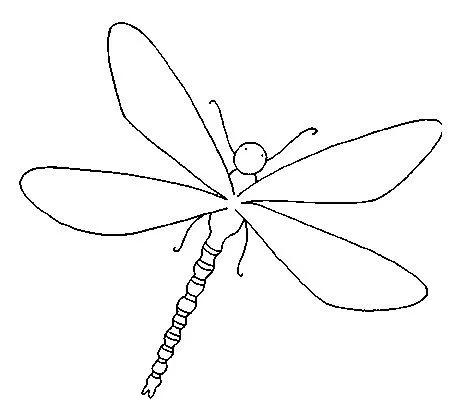 Libelulas dibujos para imprimir - Imagui