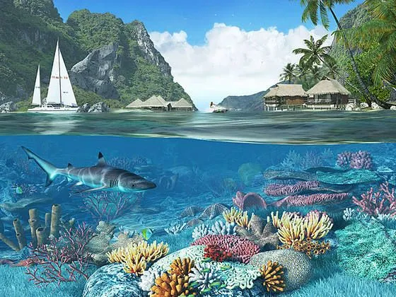 Imagenes para fondo de pantalla con movimiento 3D windows seven ...