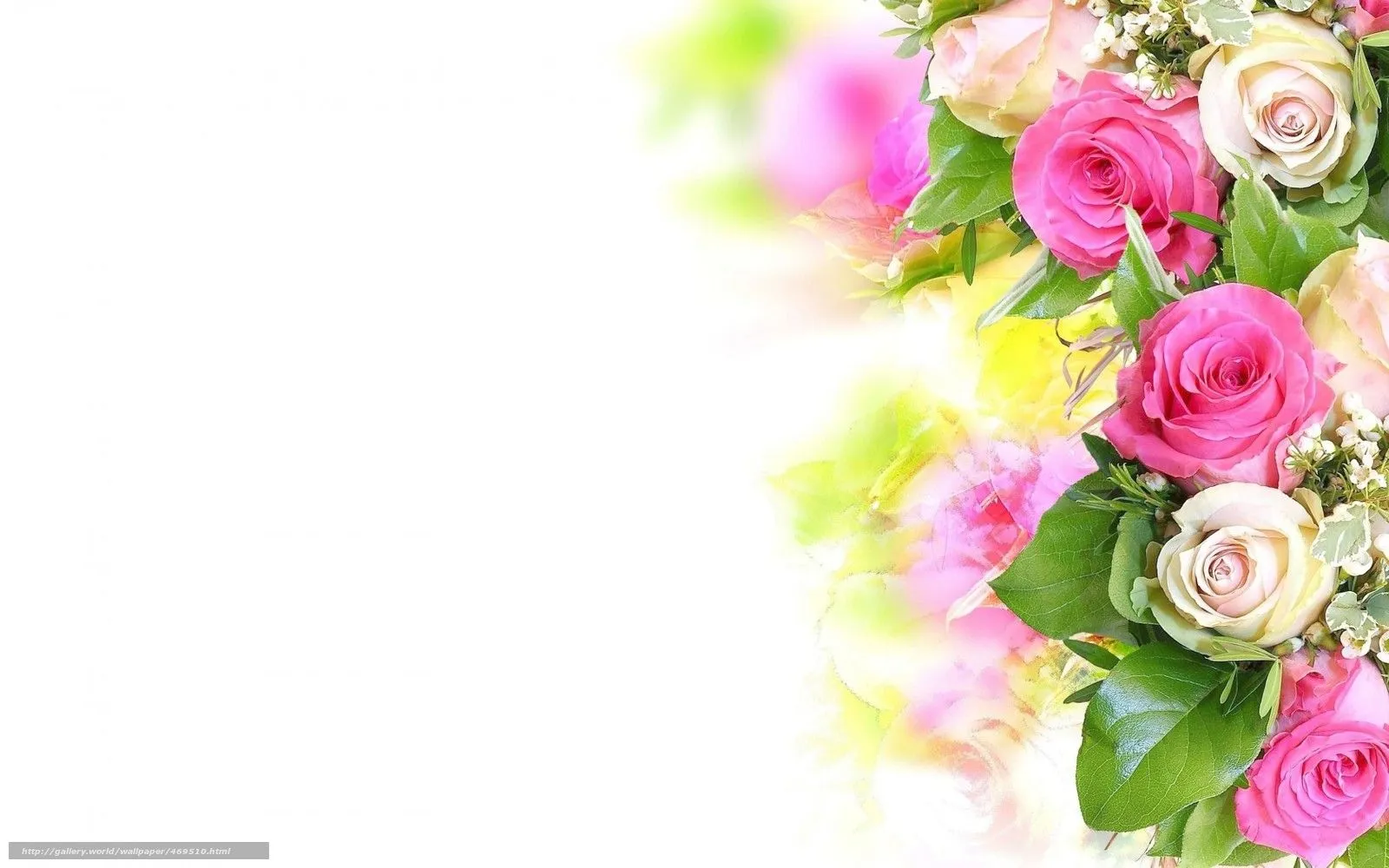 Descargar gratis Rosa, rosa, Color blanco, Hermoso Fondos de ... Descargar gratis Rosa, rosa, Color blanco, Hermoso Fondos de ...