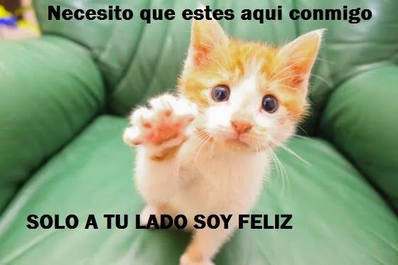Descargar imagenes de amor, con movimiento animadas y mensajes con ... Descargar imagenes de amor, con movimiento animadas y mensajes con ...
