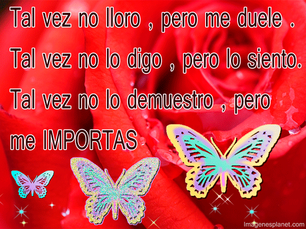DESCARGAR IMÁGENES ANIMADAS BONITAS DE AMOR ~ imágenes, mensajes ... DESCARGAR IMÁGENES ANIMADAS BONITAS DE AMOR ~ imágenes, mensajes ...