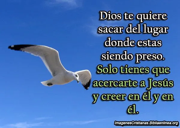 Descargar Imagenes Cristianas para el Muro - Imagenes Cristianas Descargar Imagenes Cristianas para el Muro - Imagenes Cristianas
