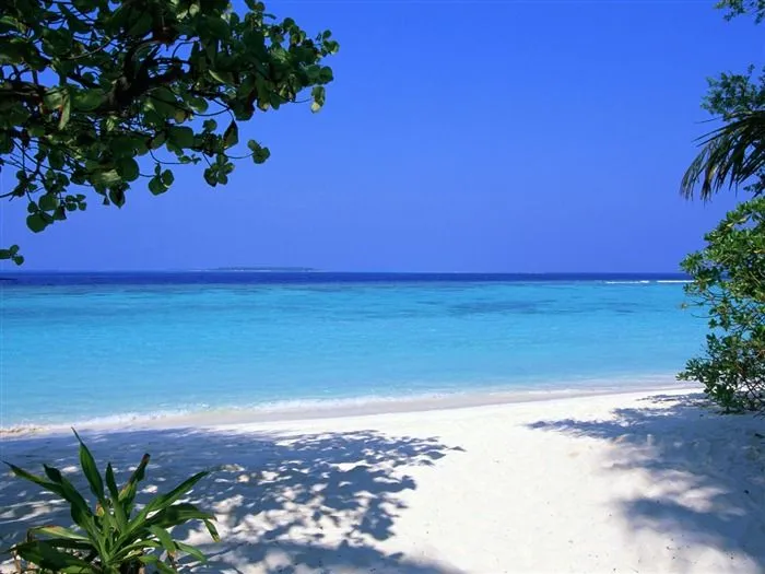 Playa álbumes fondos de escritorio de paisajes #25 - Fondo de ...