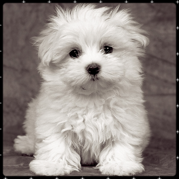 Descargar imagenes tiernas gratis | Imagenes Tiernas de Amor con ... Descargar imagenes tiernas gratis | Imagenes Tiernas de Amor con ...
