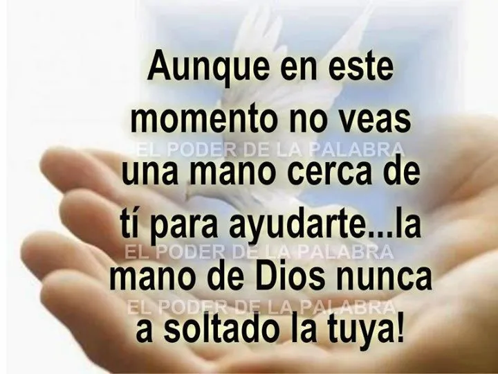 Descargar imagenes tiernas gratis, Imagenes Tiernas, Fotos Tiernas ... Descargar imagenes tiernas gratis, Imagenes Tiernas, Fotos Tiernas ...