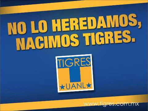 Descarga tigres Uanl - Imagui
