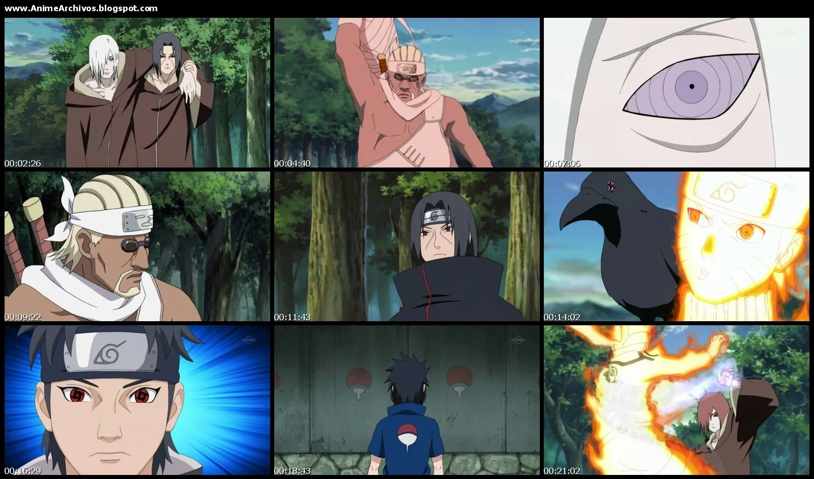 Descargar Naruto Shippuuden Sub Español [HD - MP4] [720p ...
