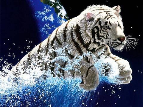 Imagenes de fondo de pantalla con movimiento para windows 7 - Imagui