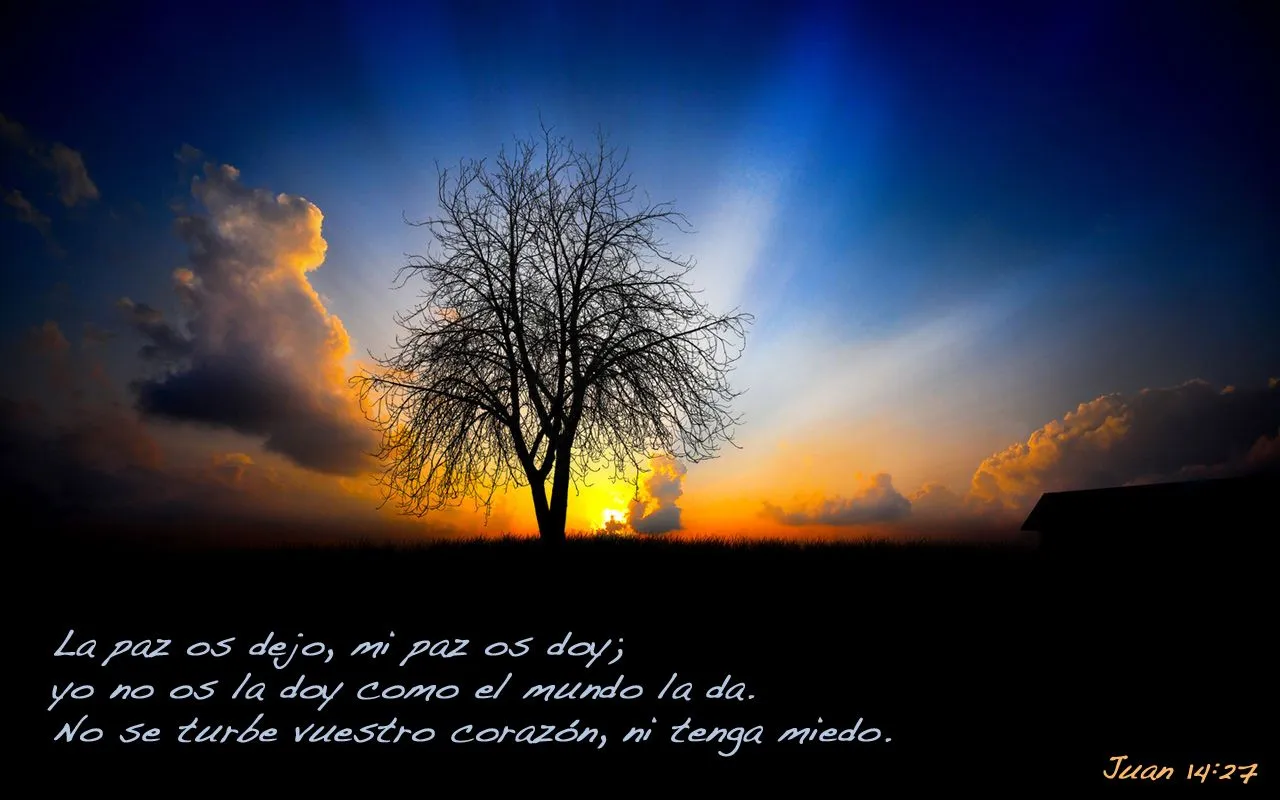 Descargar Wallpapers Cristianos Para Pc