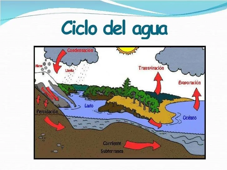 Descripcion del ciclo del agua para niños - Imagui