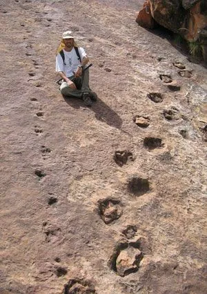 Descubiertas en Bolivia las huellas de dinosaurio más antiguas de ... Descubiertas en Bolivia las huellas de dinosaurio más antiguas de ...