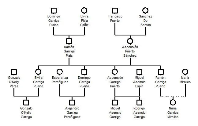 árbol genealógico Archives - Meganotas | Tu sitio de Información