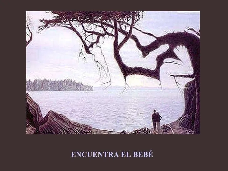 descubre-imgenes-escondidas-14 ...