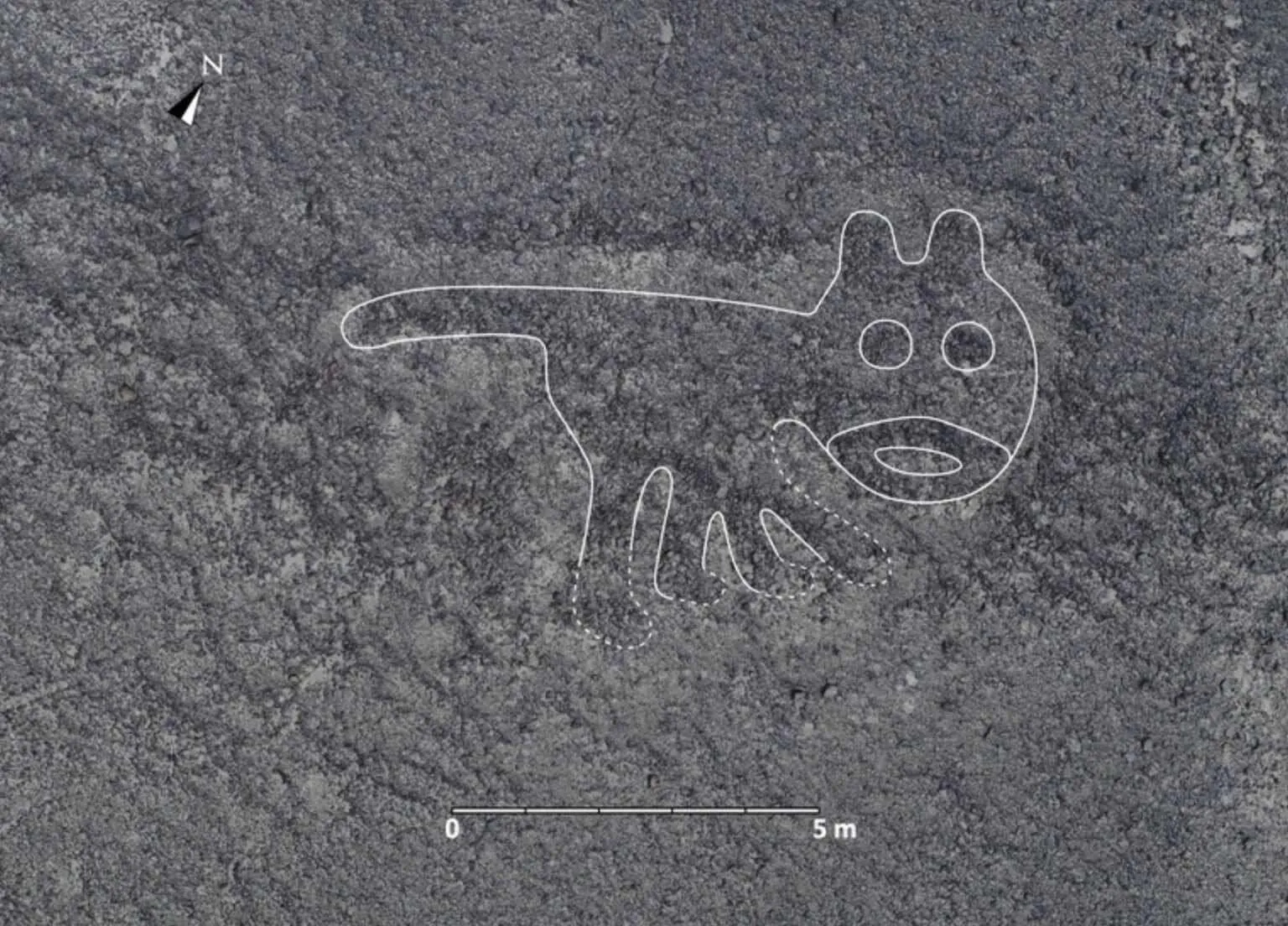 Descubren nuevas Líneas de Nazca de hace dos mil años, las obras de arte  peruanas a vista de pájaro - Cultura Inquieta