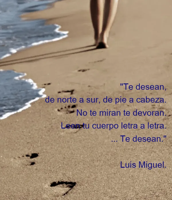 Te desean, de norte a sur, de pie a cabeza. No te miran te devoran ...
