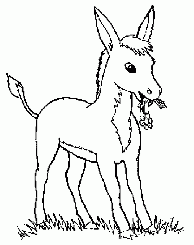 Desenho de burros para colorir | Desenhos para colorir | desenhos ... Desenho de burros para colorir | Desenhos para colorir | desenhos ...