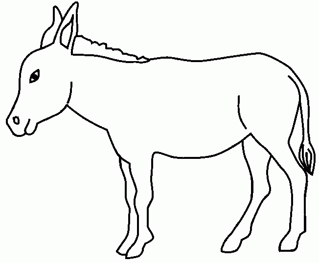 Desenho de burros para colorir | Desenhos para colorir | desenhos ... Desenho de burros para colorir | Desenhos para colorir | desenhos ...