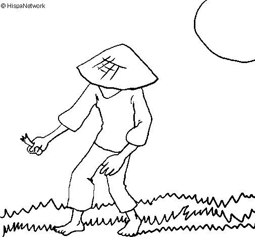 Desenho de Campo de arroz para Colorir - Colorir.com Desenho de Campo de arroz para Colorir - Colorir.com