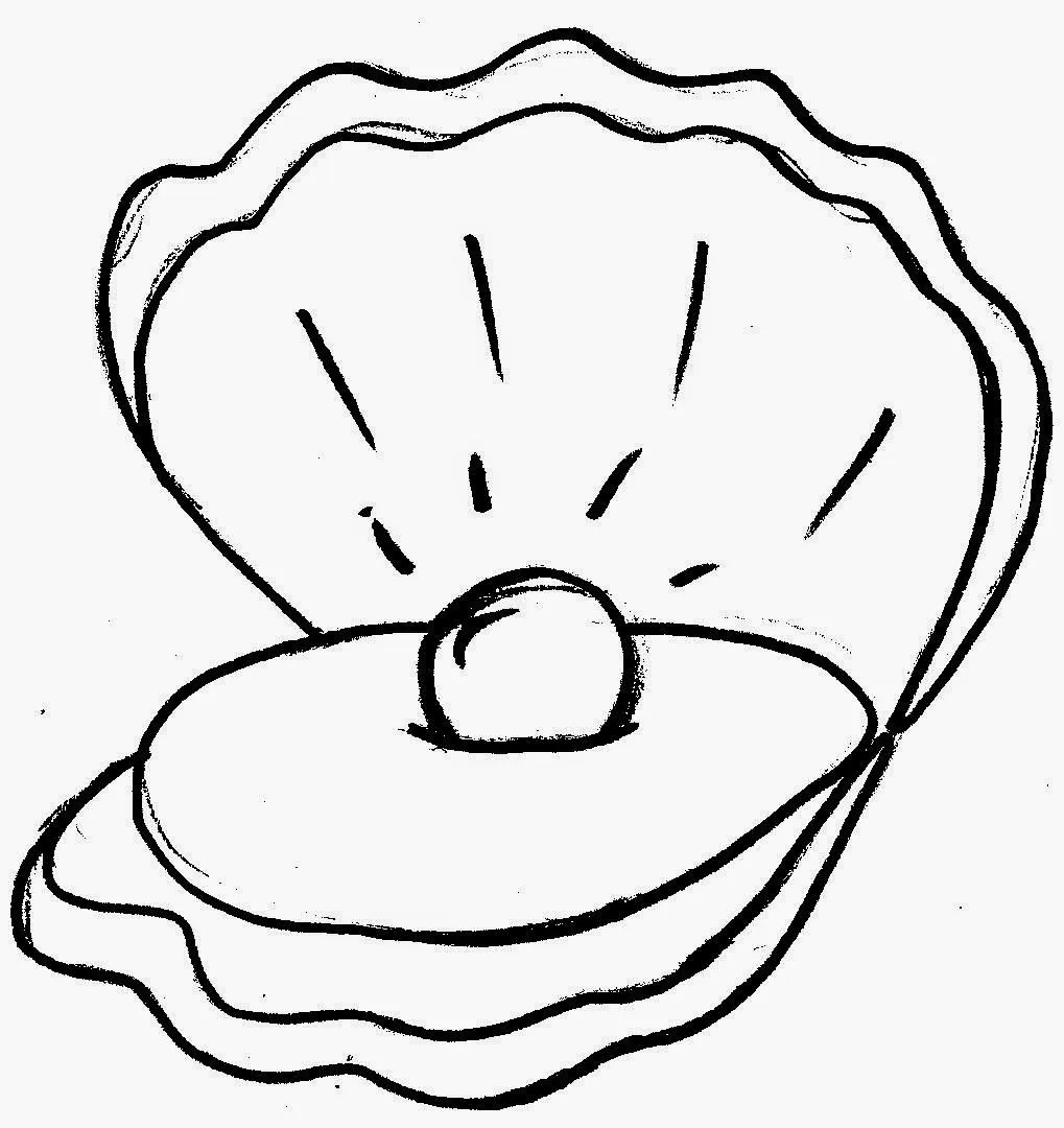 Desenho de concha com pérola - Desenhos para Imprimir e Pintar ... Desenho de concha com pérola - Desenhos para Imprimir e Pintar ...