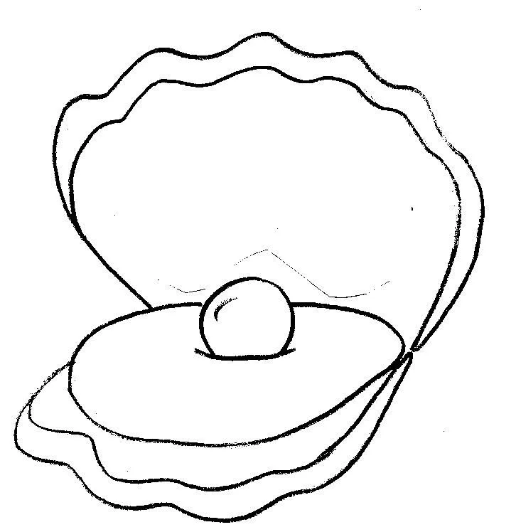 desenho conchas mar para colorir desenhos pic desenho conchas mar para colorir desenhos pic