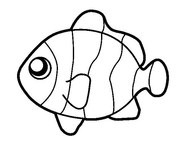 Desenho de Peixe-palhaço para Colorir - Colorir.com Desenho de Peixe-palhaço para Colorir - Colorir.com