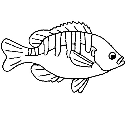 Desenho de Peixe pintado e colorido por Usuário não registrado o ... Desenho de Peixe pintado e colorido por Usuário não registrado o ...