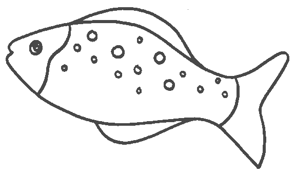 Peixe no rio – Desenhos para Colorir