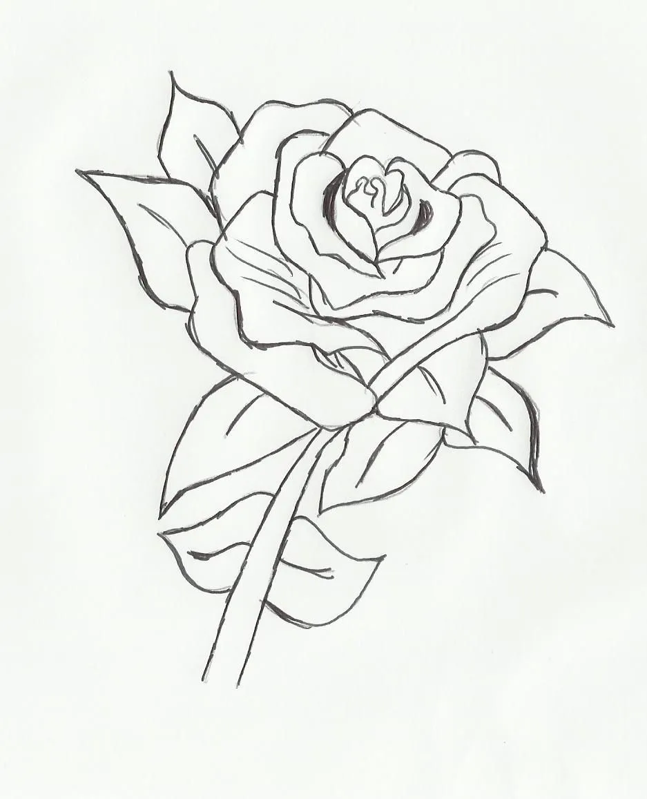 Desenhos de rosa - 6 fotos e imágenes gratis - Imagui