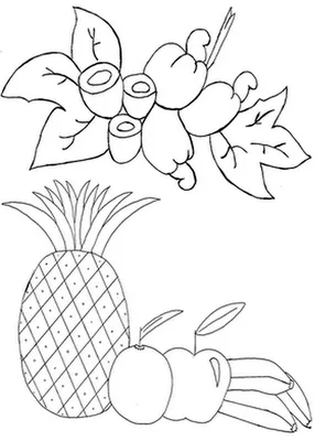 Desenhos de abacaxi para colorir - abacaxi para pintar - riscos de ... Desenhos de abacaxi para colorir - abacaxi para pintar - riscos de ...