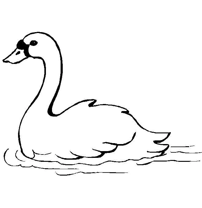 Desenhos de cisne para crianças colorir. Nunca pare de estudar. Faça ... Desenhos de cisne para crianças colorir. Nunca pare de estudar. Faça ...