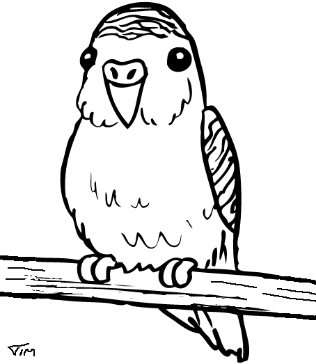 Desenhos para Colorir: Papagaio, Periquito, Tucano e Arara