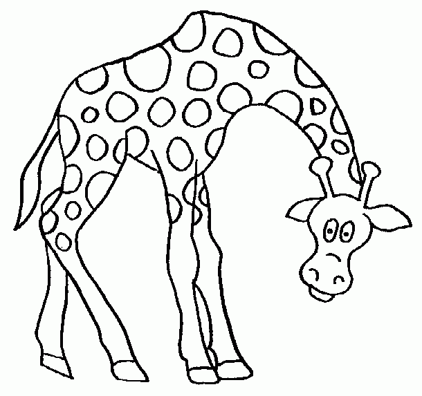Desenhos de Girafas para colorir | Desenhos para colorir online Desenhos de Girafas para colorir | Desenhos para colorir online