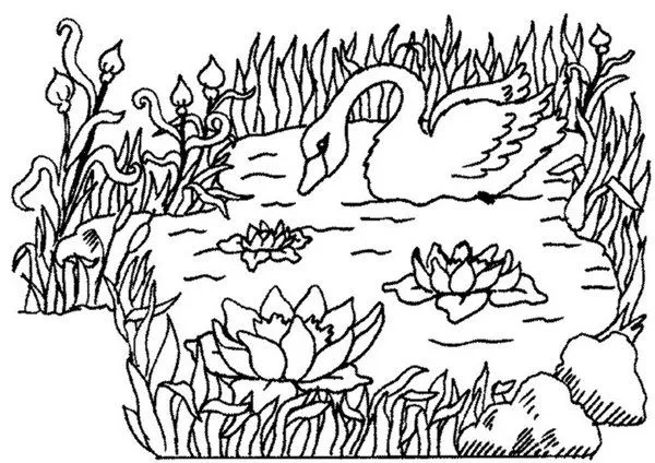 DESENHOS DA PRIMAVERA | Pedagogia ao Pé da Letra DESENHOS DA PRIMAVERA | Pedagogia ao Pé da Letra