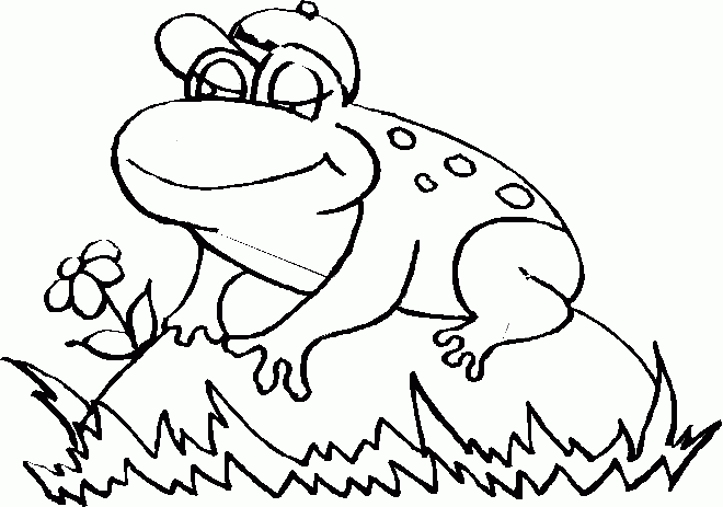 desenhos de sapo para colorir | desenhos para pintar e imprimir