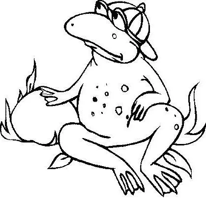 desenhos de sapo para colorir | desenhos para pintar e imprimir desenhos de sapo para colorir | desenhos para pintar e imprimir